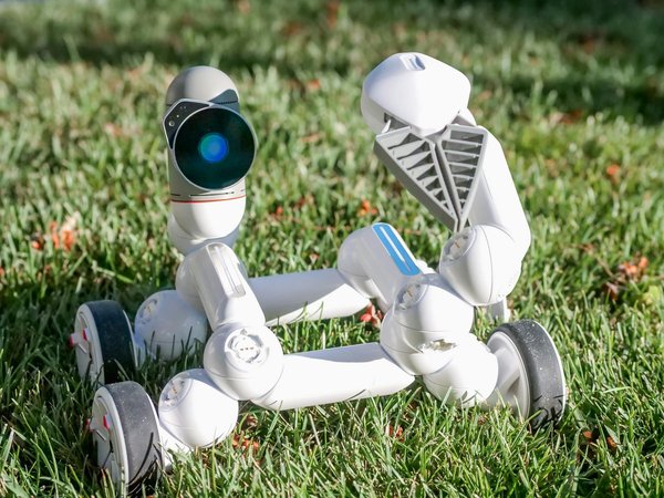 How do video game makers keep their creations bug-free and smooth-running?